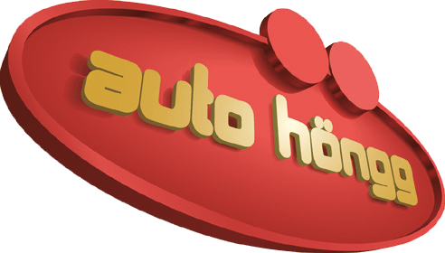 Auto Höngg Zürich